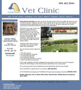 Veterinarian Custom Website